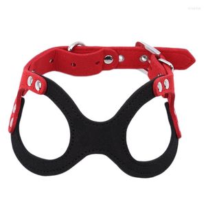 Collari per cani Petto regolabile Accessori per animali domestici Catena Morbida pelle scamosciata Collare per cuccioli Forniture per imbracatura a fascia per il seno