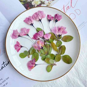 Faux Floral Greenery 24pcs prensado Flor seca Begonia natural com folhas para jóias de colar de pingente de resina epóxi Fazendo acessórios de bricolage DIY J220906