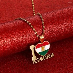Pendant Necklaces Stainless Steel Kurdistan Charm Jewelry Gifts Kurdish