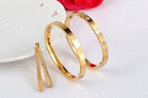 Love Bracelets Bangles 18K Rose Gold Sterling Silver Color Bangles Men and Women Bracelet Moda Simples B6035516 M5XW#