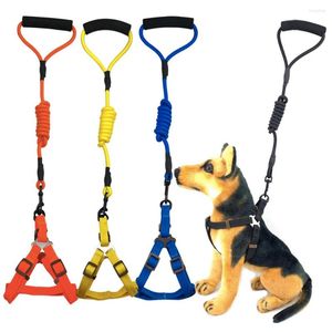 Colarinhos de cachorro 5 cores colarinho de nylon e colarinho para pequenos acessórios de corda de corda grande de cachorro grande médio
