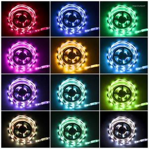 Strisce LED Strisce luminose RGB Controllo Bluetooth USB Lampada flessibile DC5V Nastro Diodo a nastro per sala festival Computer TV Decorazione scrivania