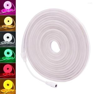 Remsor DC12V LED -strip flex neon rep Ljus SMD2835 120LEDS/M VATTENSIGT OUTLIGT LIGHTING RED GRÖN BLÅ IP67