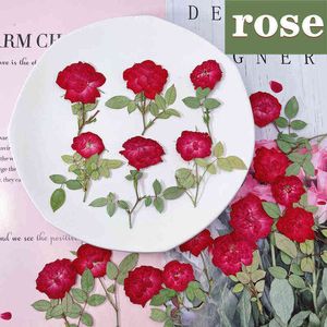 Faux blommor grönare 12 pcsparty torkade blommor naturliga pressade stora rosväxter för epoxihartshänge smycken gör hantverk diy nagelkonst tillbehör j220906