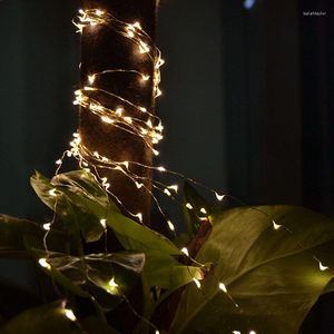 Dizeler 5m 50 LED Tel Bakır Peri Dize Işıkları Noel Noelleri Düğün Partisi Bahçesi Açık Dekorasyonlar Damla