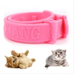 Cat Collars Leads 2 Styles Adjustable Cat Collar With Effective Removal Of Flea Mite Lice Insecticide Mosquito Quadruple Effect Pet Dhbux