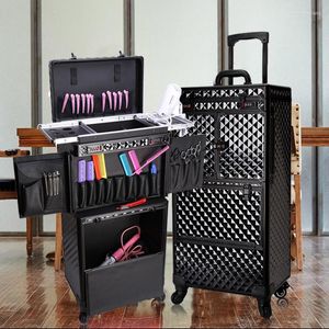 Suitcases Fashion Professional Trolley Cosmetic Case Large Rolling Luggage Stylist Special Personality Suitcase Password Lock Box