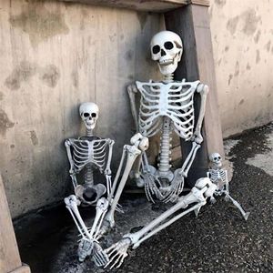 Party Decoration 160 CM Halloween Skeleton Prop Human Full Size Skull Hand Life Body Anatomy Model DecorHalloween Party Decor For Home 220915