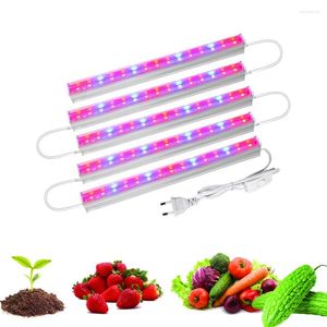 Grow Lights T5 Tube Phytolamp f￶r v￤xter 85-265V 6-30W Red Blue LED-ljus Phyto Lamp Full Spectrum Tent Box