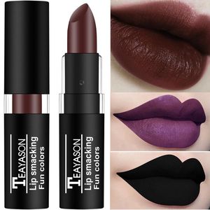 Lipstick Brand Black Retro Dark Color Lipsticks Matte Waterproof Blue Vampire Holloween Party Makeup Maquillaje Lip Pencil