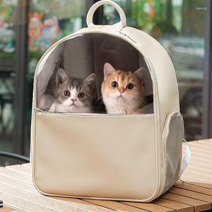 Transportadores de gatos CAGA PLÁSTICA PET PET Backpack Backpack de alta qualidade Janela transparente Mochila para itens Perro