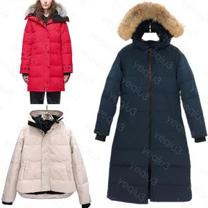 Jaqueta feminina casacos de inverno gola lobo parkas clássico ao ar livre frio e quente grosso com mapa bordado gabardina longo durável casacos de gola de pele