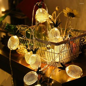 Strängar stränglampor 1,5 m 2 m 3 m järn ananasljus utomhus vattentätt batteri juldekorativ