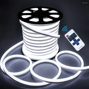 Strips 6mm Waterproof Neon Light 12V LED Strip SMD 2835 120LEDs/M Flexible Rope Tube Dimmable With Remote Control Power Kit