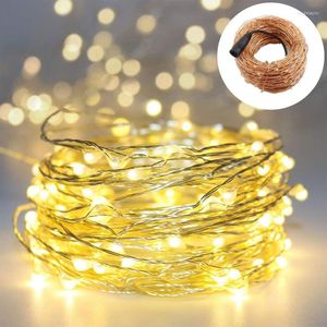 Strängar LED Copper/Silver Wire DC12V Operated Christmas Holiday Wedding Party Outdoor Indoor Decoration String Fairy Lights