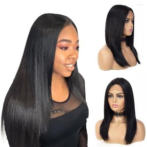 360 150% Brazilian Straight Human Hair Wig with Hand Made Skin Melting HD Lace for Your Natural-Looking Protective Style with Baby Hair