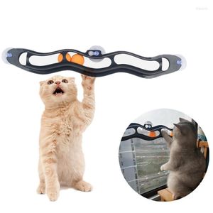 Giocattoli per gatti Divertente giocattolo per cani Track Ball Interactive Pet Kitty Play Rolling Appeso alla parete della finestra di vetro per gli accessori