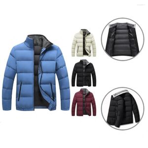 Men's Down Winter Jacket Simple Neck Protection Cold-proof Leisure Coat For Work