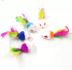 Kolorowe piórka mysie mysie zabawki dla kotów z pióra śmieszne grę dla psa psa kota małe zwierzęta kociak fy4654 919