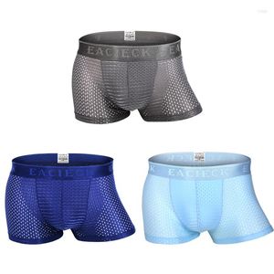 Underbyxor 3Pece/Lot Mesh Silk Men Boxer Shorts Four Corner Sexy Underwear Bodysuit M248B M- XXXL