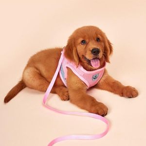 Dog Collars Pet Harness And Leash Set Summer Chihuahua Fashion For Small Adjustable Walking Puppy Accessories