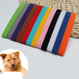 Collari per cani 12 pezzi Dogs Colorful Classic Simple Cuppy Kitten Identification Collar Welping ID Bande per animali domestici