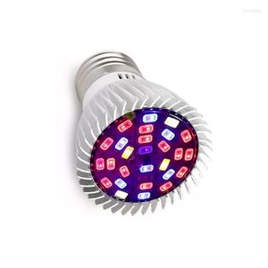 Rosną światła Pełne spektrum CFL LED Lampada E27 E14 GU10 110V 220V Halowa lampa roślinna System Hydroponika Ir UV Garden