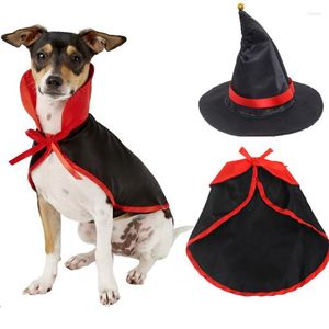 Psa odzież Boże Narodzenie Halloween Cloack Cat Scarf Hat Satin Cefle Cape Set Sukienka