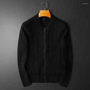 Erkek Sweaters Erkek Sonbahar Kış Lüks Stand Yakası Düz ​​Renk Fermuarı Basit Sıradan Erkekler Moda İnce Adam