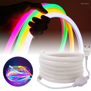 Streifen Neon Luces Led Bar Lichter Streifen 220V 120LED 2835 Rohr Flexible Seil Wasserdicht Urlaub Wohnkultur 1m 2m 3m 4m 5m