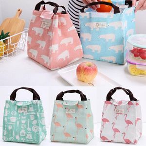 Borse portaoggetti Cartone animato grande borsa termica per il pranzo in tessuto Oxford Cooler Picnic Travel Food Box Donna Uomo Tote Carry Drop