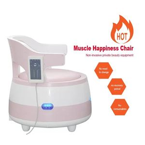 2022 Ems Muscle Stimulator Body Slimming Pelvic Floor Exerciser Ems Shaping Machine Chair Multifunctional Postpartum Repair System