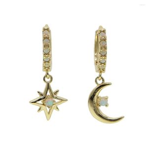 Hoop oorbellen Fashion Gold Vermeil sieraden 925 Sterling Silver Opal Moon Star Charm Earring voor vrouwen