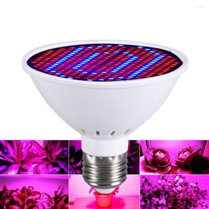 Grow Lights Plant Light Cup LED V E27成長電球赤と青のスペクトル486080126200300LEDS DIY FILL