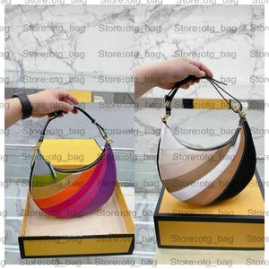 Rainbow Swallow Wool Plaid Bag: Designer Hobo Crossbody Handväska för kvinnor med läder accenter Luxury Nylon Tote - Classic Chic Style