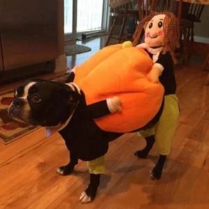 Dog Apparel Halloween Natal Funny Pet Clothes Pumpkin Dog Change