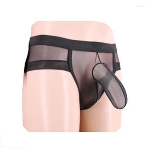 Underpants Men Transparent Mesh Underwear Male Sexy Elephant Nose Big Penis Pouch Briefs Gay Lingerie