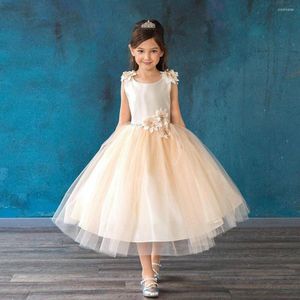 Girl Dresses Flower Beautiful Baby Tulle Tutu Dress Birthday For Wedding Summer Performance Kids Clothing Ball Gowns Childs Size