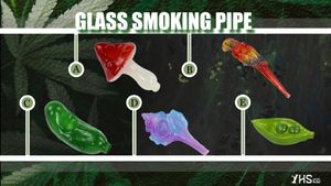 smoking accessories mushroom&pea&Parrot&cucumber&shell glass pipe smoking pipes