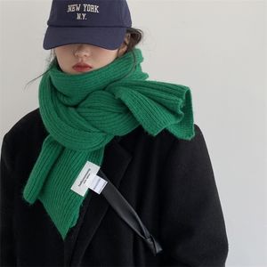 Schals Koreanische Mode Dicke Warme Schal Für Frauen Reine Farbe Damen Stricken Kaschmir Weibliche Winter Zu Erhöhen Ahawl Männer Schal 220922