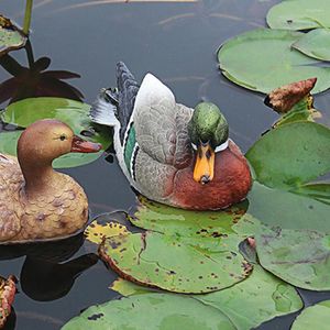 庭の装飾水像で遊んでいるマンダリンダック中庭の池動物屋外装飾装飾装飾