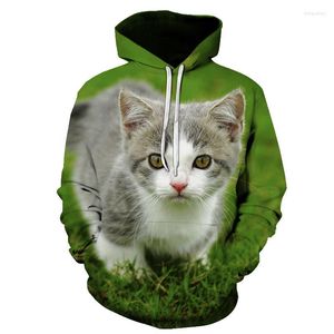 Men's Hoodies Men's Hoodie Kids Sweater Street Fashion Cute Cat Print Long Sleeve Plus Size Comfortable Sweatshirt