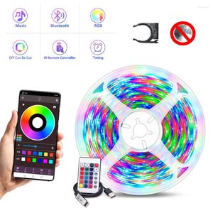 Paski 5M 2835 LED 5V RGB 24 Klucz IR Bluetooth App Muzyka Kontrola Świąteczne światła lampy do pokoju