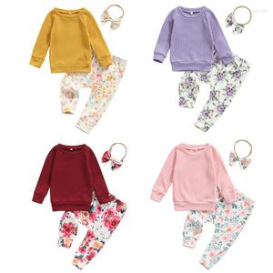 Zestawy odzieży Baby Girls Spring Fall 3pcs Zestaw ubrania Solidny kolor długi rękaw O-Neck Tops Floral Print Moders Bow-Wśdkacz Pałąk 0-24 miesięcy