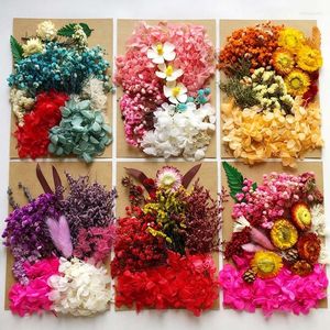 Dekorativa blommor 1pack naturtorkade blommor torra v￤xter f￶r hartsform som g￶r verkliga h￤ngsmycken hantverk diy tillbeh￶r
