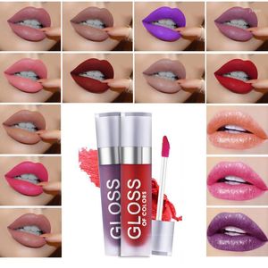 Lipgloss 15 kleuren sexy naakt duurzame hydraterende niet-markerende beet glazuur mat waterdichte vloeibare lippenstift