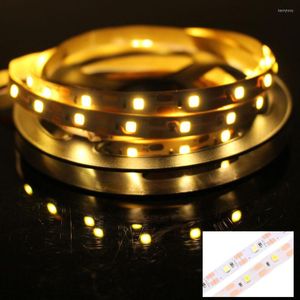 Strips DC 5 V USB Led Strip Light 5V 2835 Not Waterproof Warm White Tape Home Decor TV Backlight Lighting Diode For Room