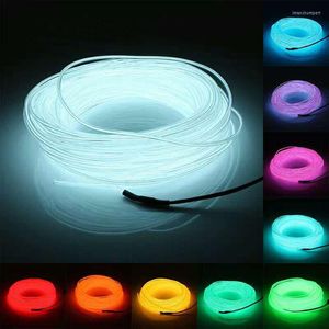 Strisce 1M/2M/3M/5M/10M Luce Al Neon Flessibile Bagliore EL Tubo di Fune Metallica HA CONDOTTO La Striscia Luci Impermeabili per Scarpe Da Ballo Abbigliamento Auto