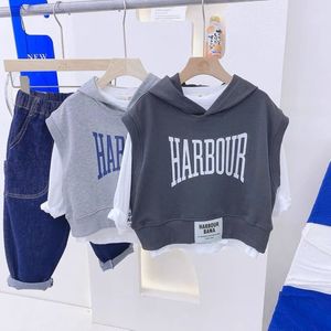 Pullover 95 Cotton Kids Boy Patchwork Hoodie tröja Autumn Spring Clothes 1 6y Baby Boys Sweatshirt Hooded Top Shirts 220924