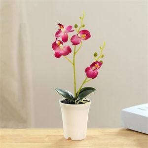 Fiori decorativi Pianta artificiale senza irrigazione Finto bonsai Elegante orchidea